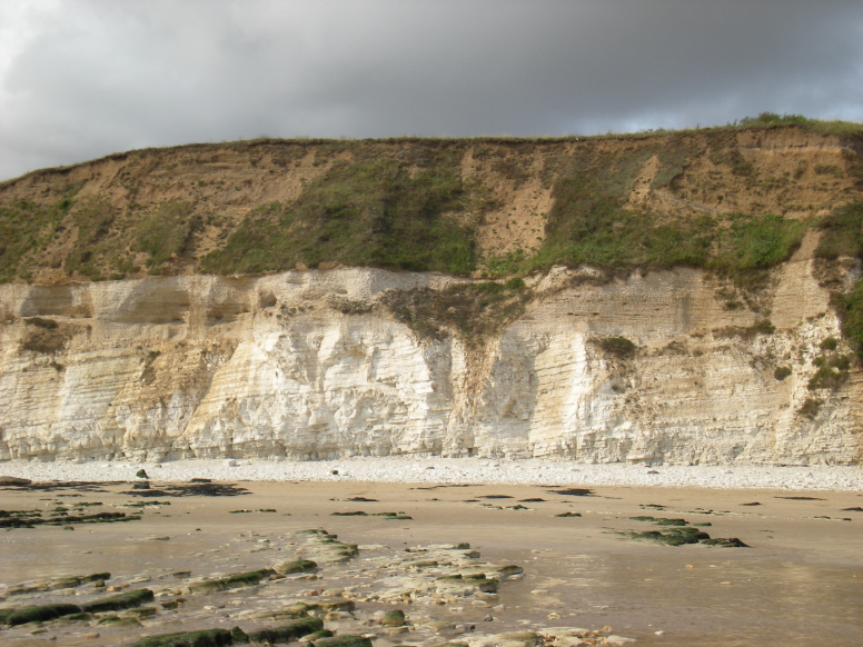  Holderness-7-2 (776x582).jpg 